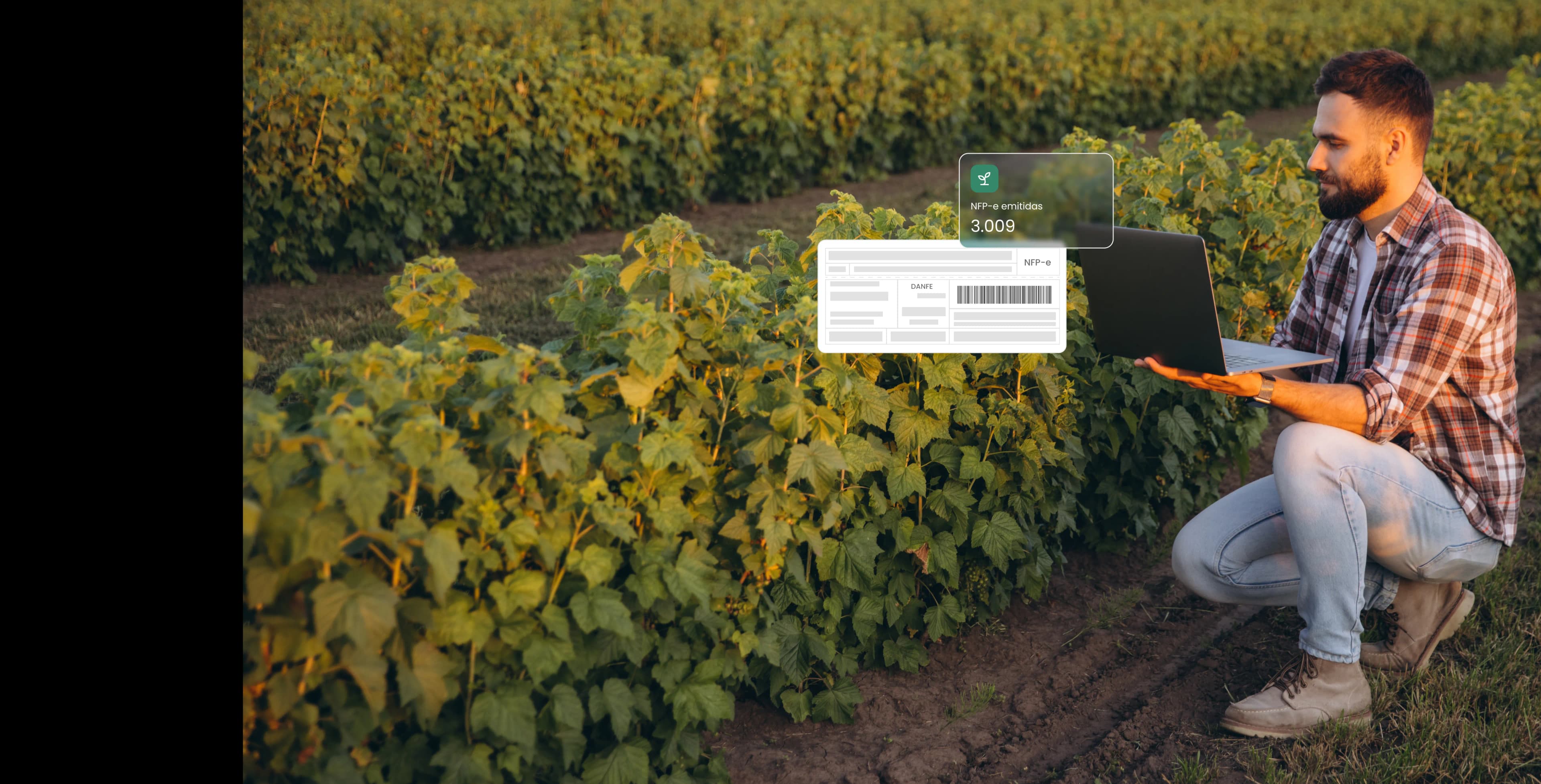 Produtor rural acessando o sistema EGS para emissão de NFP-e